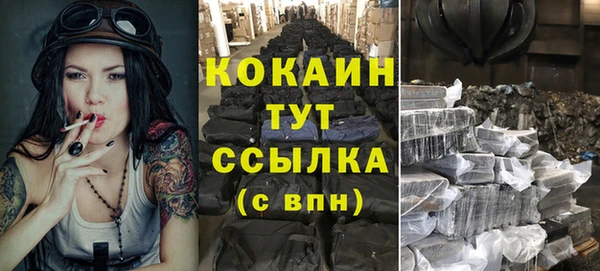 дмт Арсеньев