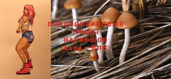 ECSTASY Аркадак