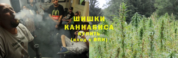 метадон Алексин
