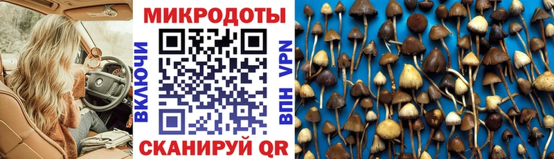 Псилоцибиновые грибы MAGIC MUSHROOMS  хочу   Южно-Сухокумск 